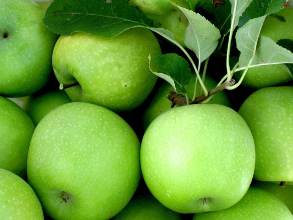 Semeryanka Olma