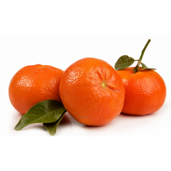Mandarin Kotta